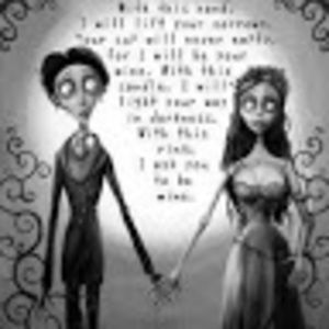 Meet your Posher, Brandon&annie